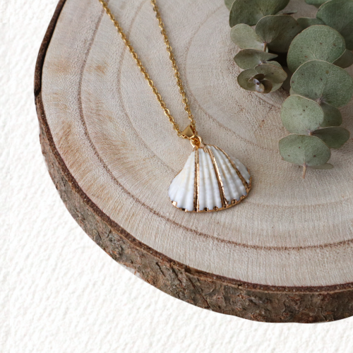collar concha blanca