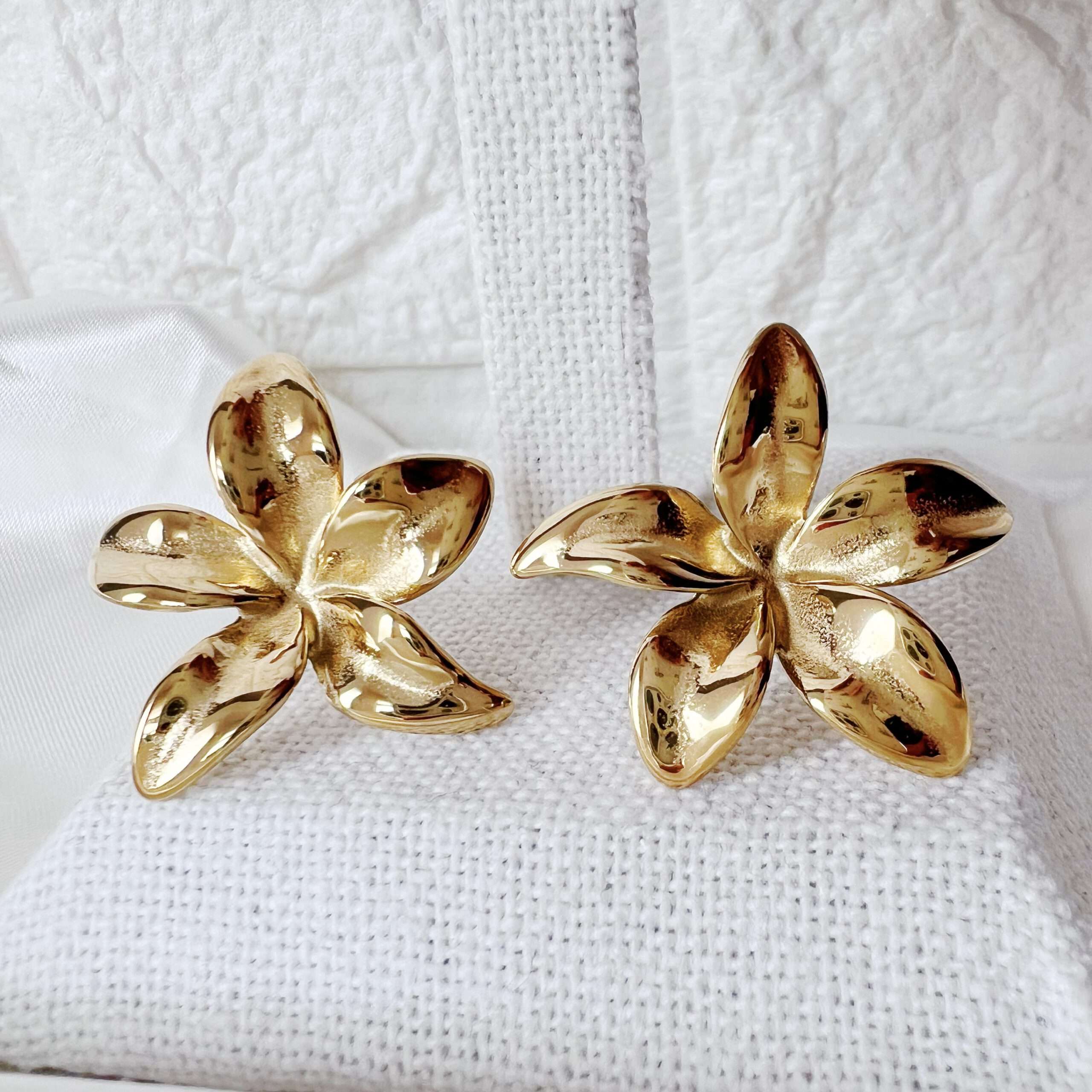 Pendientes Alana